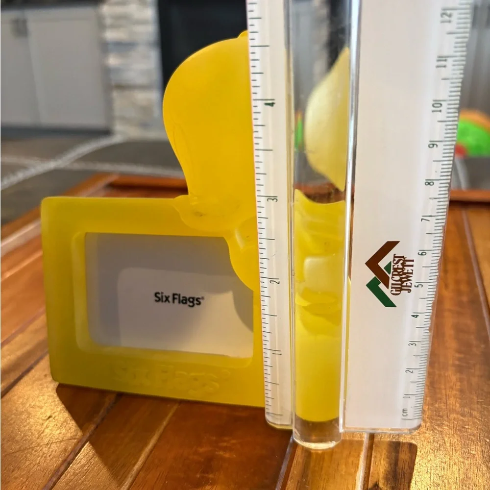 Vintage Looney Tunes Tweety Bird picture frame produced for Six Flags